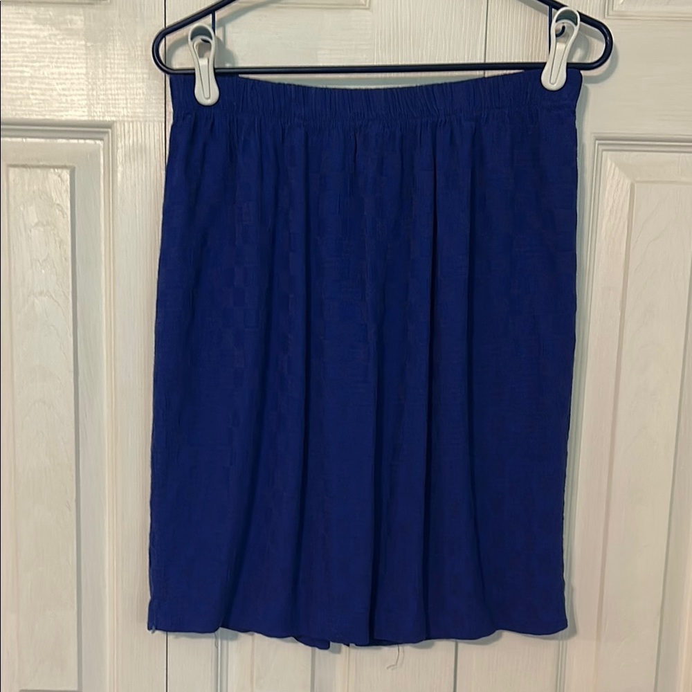Elegant Blue Women's Skirt